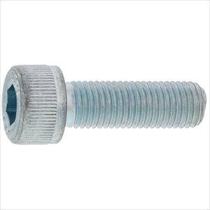 SUNCO XeCAP ז(P1.25 10 X 150 (20{) A00200040100150000(2435802)[ʓrς][@l][fO]