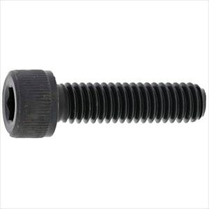 ��SUNCO �X�e��CAP(�E�B�b�g 1/4 X 12 (200�{��) A00200028020012000(2436206)[�����ʓr�����ς�][�@�l����][�f�O���]