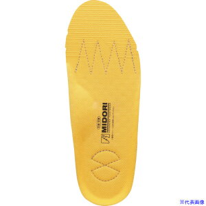 ~hS Ci EVA2wJbvC\[Ód 24cm 2299924024(2474277)[ʓrς][@l][fO]