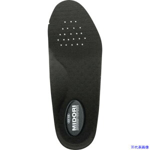 ~hS Ci EVA2wJbvC\[ 30cm 2299923930(2475904)[ʓrς][@l][fO]