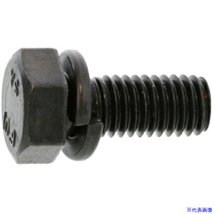 ��SUNCO 10.9 �g���[�}P��2 10×25 (100�{��) 110004020100025000(2487015)[�����ʓr�����ς�][�@�l����][�f�O���]