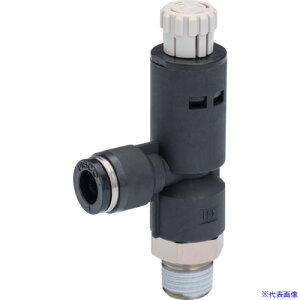 PISCO M[^ vbVbN^Cv G{ RVCP602(2493286)