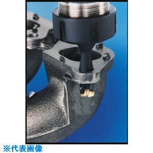 ���C�X�J�� �J���h���� �w�b�h�������h�����z���_ DCM-5D DCM13506716A5D(2512157)[�����ʓr�����ς�][�@�l����][�f�O���]
