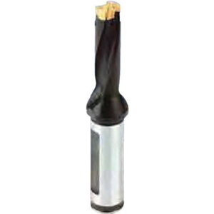 ���C�X�J�� �J���h���� �w�b�h�������h�����z���_ DCM-5D DCM20010025A5D(2512238)[�����ʓr�����ς�][�@�l����][�f�O���]