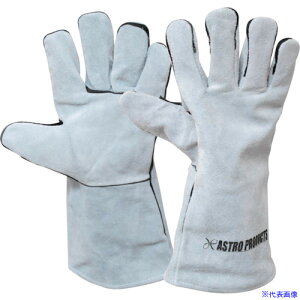 AXgv_Nc v 2008000007805(2530158)[ʓrς][@l][fO]