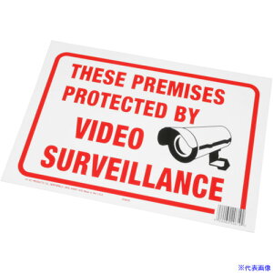 ���A�X�g���v���_�N�c PROTECTED BY VIDEO�E�E�E�v���Ŕ� 0029069206192(2536358)[�����ʓr�����ς�][�@�l����][�f�O���]