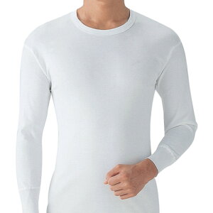 ��GUNZE ���炩���������ێ�2���gL SV6108AL(2571113)