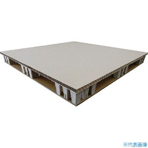 {Eh pvEhpbggWphЖʎl 1100X1100X115 041508(2590095)[ʓrς][@l]