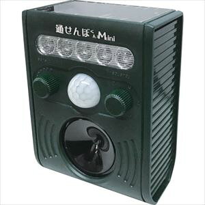 xmq Qbޑu ʂڂ~j FJK193(2691094)