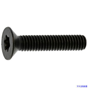 SUNCO TORX-TCAP VJIS 4×20 (1000{) A000T2J00040020000(2704838)[ʓrς][@l][fO]