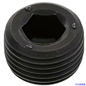 ��SUNCO �v���O(����NPTF DB 1/8 (500�{��) A00057408010000000(2714266)[�����ʓr�����ς�][�@�l����][�f�O���]