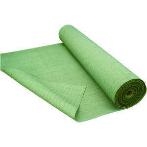 TRUSCO Xpb^V[gx[VbN [ 1000X30m TSPRBW(2847205)