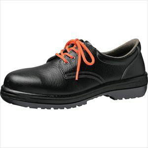 ~hS SC o[ebN RT910≏ 22cm RT910ZETSUEN22.0(3236698)[ʓrς][@l][fO]