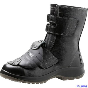 ~hS SC v~AnCExf PRM235 bvM2 24.5cm PRM235KPM224.5(3238261)[ʓrς][@l][fO]