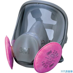 ��3M ��֎��h����}�X�N 6000F/2091�|RL3 L�T�C�Y 6000F2091RL3L(3241858)