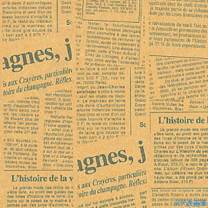 ��HEIKO ��� �j���[�X���^�[ GR 4�� ���N 1000������ 002335505(3420120)[�����ʓr�����ς�][�@�l����][�f�O���]