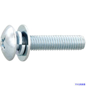 SUNCO g݂˂ (+)gX P3(S(܂͕W)EBC(N[g)) M6×30(30{) 10000303006003001030P(3435235)[ʓrς][@l][fO]