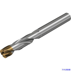 ��SANDVIK �R���h����860�]GM ���d�\���b�h�h����(720) X1BM 860.10900044A0GM(X1BM)(3509448)[�����ʓr�����ς�][�@�l����][���[�J�[���]