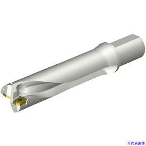 ��SANDVIK �R���h����DS20�n��������h����(465) DS20D5600L5004(3510952)[�����ʓr�����ς�][�@�l����][�f�O���]