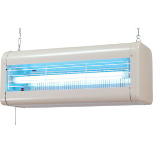 sIj[ dE(p^Cv) NSS10210(3604529)[ʓrς][@l][O]