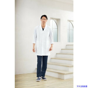 FOLK jn[tR[g zCg L 15201L(3609699)[ʓrς][@l][fO]