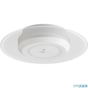 IRIS 529234 ^V[OCg  750lm lZT[t F zCg SCL75DMSLGP(3632464)