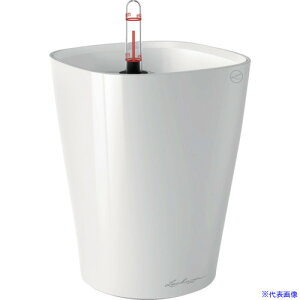 ��Lechuza ��ʋ����v�����^�[ �f���e�B�[�j �y�e��1.2L �z���C�g 14900(3692504)
