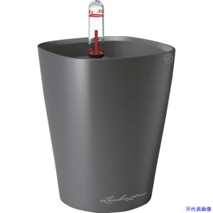 Lechuza ʋv^[ ~jfeB[j ye0.4L `R[ 14949(3692510)