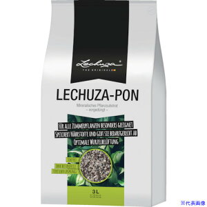 Lechuza ʋv^[p `[U | 3L 19560(3692513)