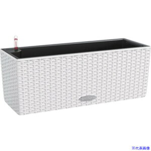 Lechuza ʋv^[ oRl Re[W zCg 15600(3692516)