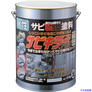 ��BAN�[ZI �K�]���h�� �T�r�L���[�v�� 4kg �V���o�[ ASKPK04S(3701703)