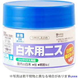 ■KANSAI 水性白木用ニスA つやけしとうめい 100ML 00737653732100(3768672)×12[送料別途お見積り][法人限定][掲外取寄]