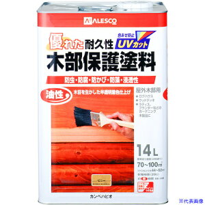 KANSAI ؕیh sj[ 14L 00237643501140(3787636)[ʓrς][@l][fO]