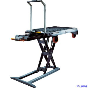 xetto d~ 250Kg 10030811(3805526)[ʓrς][@l]