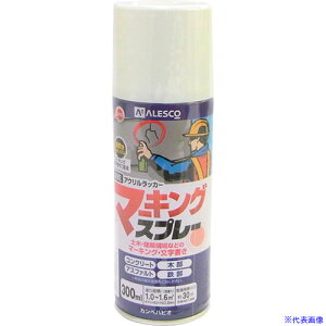 ��KANSAI �}�[�L���O�X�v���[K 300ML �� 349421(3858511)