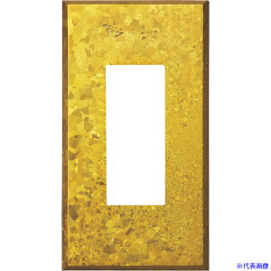 ��SUGATSUNE (210027184)PXP�|AC01�|KY�X�C�b�`�v���[�g�E�R���Z���g�v���[�g PXPAC01KY(3858657)