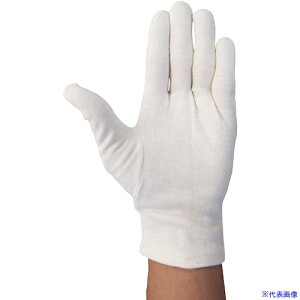 WINCESS uȃXX }`iV(12o) MTCY 4101M(3961413)[ʓrς][@l][fO]