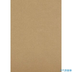 TRUSCO i{[V[g 210x297 DS2129(3964011)