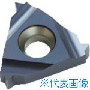 ��NOGA Carmex�˂��؂�p�`�b�v ISO���[�g���˂��p �`�b�v�T�C�Y16×P3.0×60° 16IL3.0ISOBMA(4034619)×10[�����ʓr�����ς�][�@�l����][���[�J�[���]