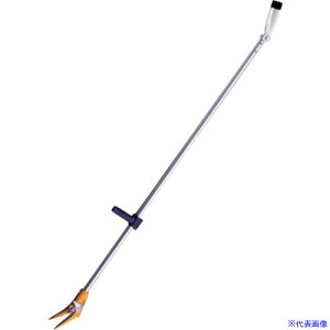 ACK[c[ X[p[}WbNnh 1^ NO1000(4084744)[ʓrς][@l][fO]