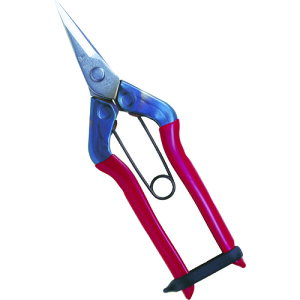 `J}T XeXE T500S(4094859)