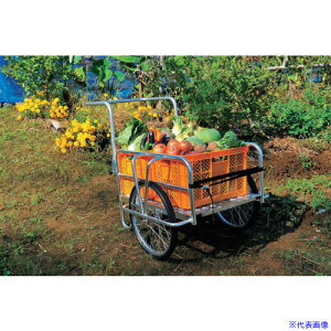 ��TASSCOM �A���~�����J�[ �~�j TAN584(4107828)[�@�l����][�O������]