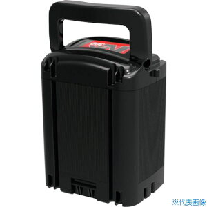 ��CXS ���`�E���C�I���o�b�e���[ NX300�o�b�e���[ 6051124(4108902)[�@�l����][������]