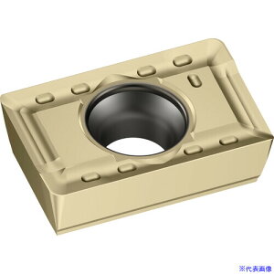 ��Walter �~�[�����O���H�p �Ђ��`�|�W�`�b�v WKP35S LPGT15T308RF55(WKP35S)(4118638)×10[�����ʓr�����ς�][�@�l����][�f�O���]