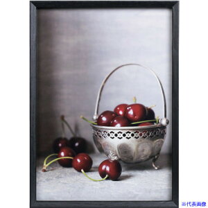 Kenko 1250343 _CNgt[ xWF A3 ubN EBE-A3-BK EBEA3BK(4141103)