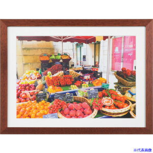 Kenko 1250219 ؐz NEWK[f A4 uE MNGA|A4|BR MNGAA4BR(4142617)