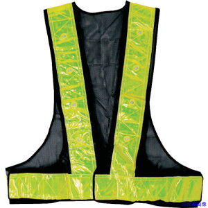 CHUSAN SxXgLED ×F F 030492F(4167790)[ʓrς][@lEƏ][fO]