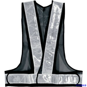 CHUSAN ˈSxXg ×Vo[ F 030193F(4172539)[ʓrς][@lEƏ][fO]