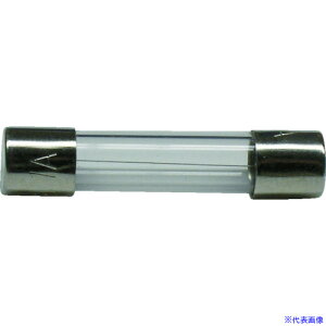 ���T�J�d�� �K���X�ǃq���[�Y GF�V���[�Y AC250V�|10A 2�� GF10A(4173261)