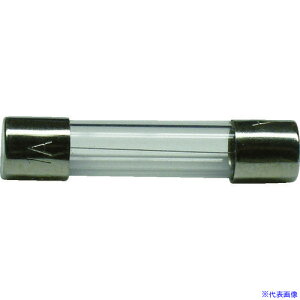 ���T�J�d�� �K���X�ǃq���[�Y GF�V���[�Y AC250V�|1A 2�� GF1A(4173279)